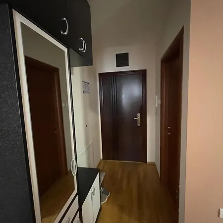 Oaza נובי סאד