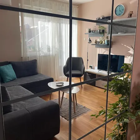 Oaza * נובי סאד