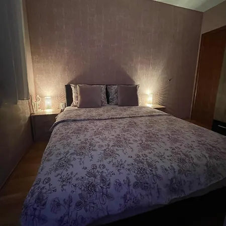 Oaza נובי סאד