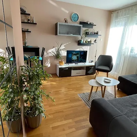 Oaza נובי סאד