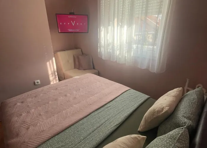 Oaza نوفي ساد