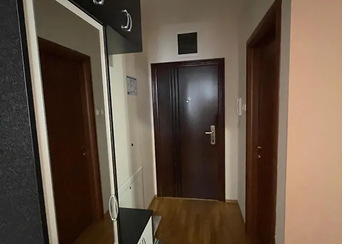 Oaza نوفي ساد