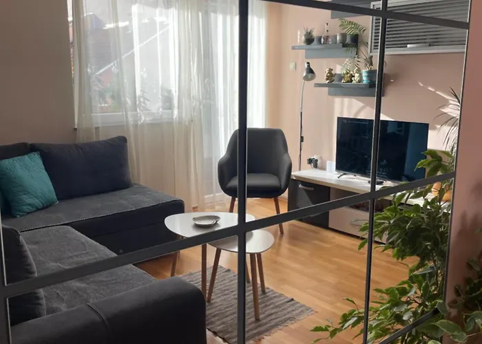 Oaza * نوفي ساد