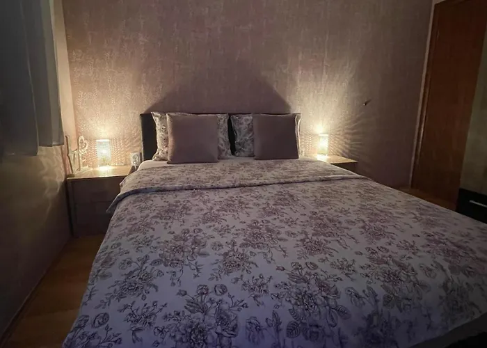 Oaza نوفي ساد