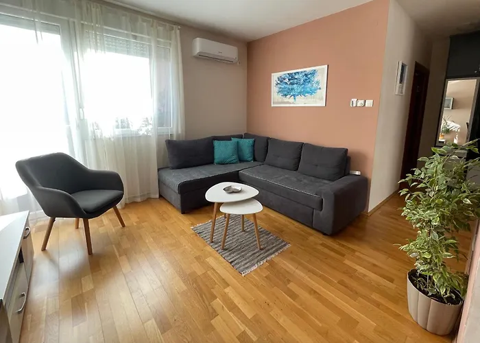 Oaza نوفي ساد