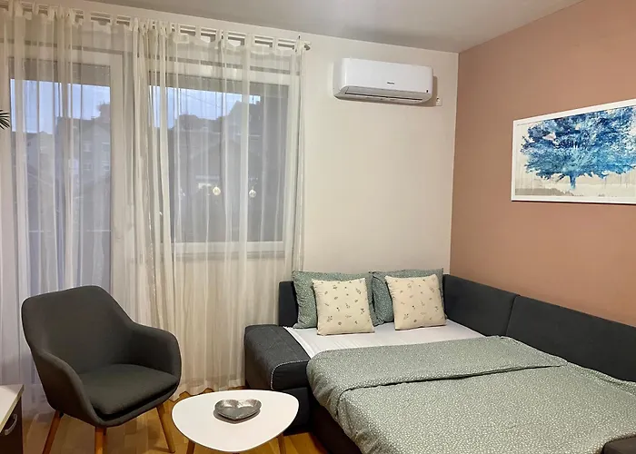 Oaza نوفي ساد