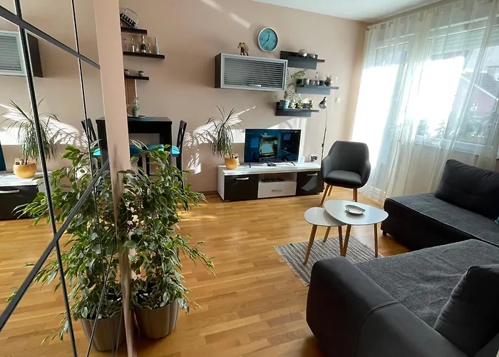 Oaza نوفي ساد